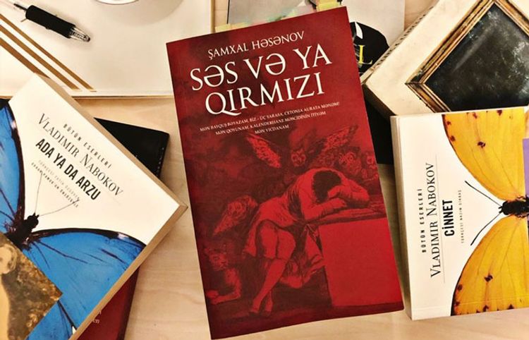 Məni heyrətləndirən çağdaş Azərbaycan romanı – Mirmehdi Ağaoğlu yazır...