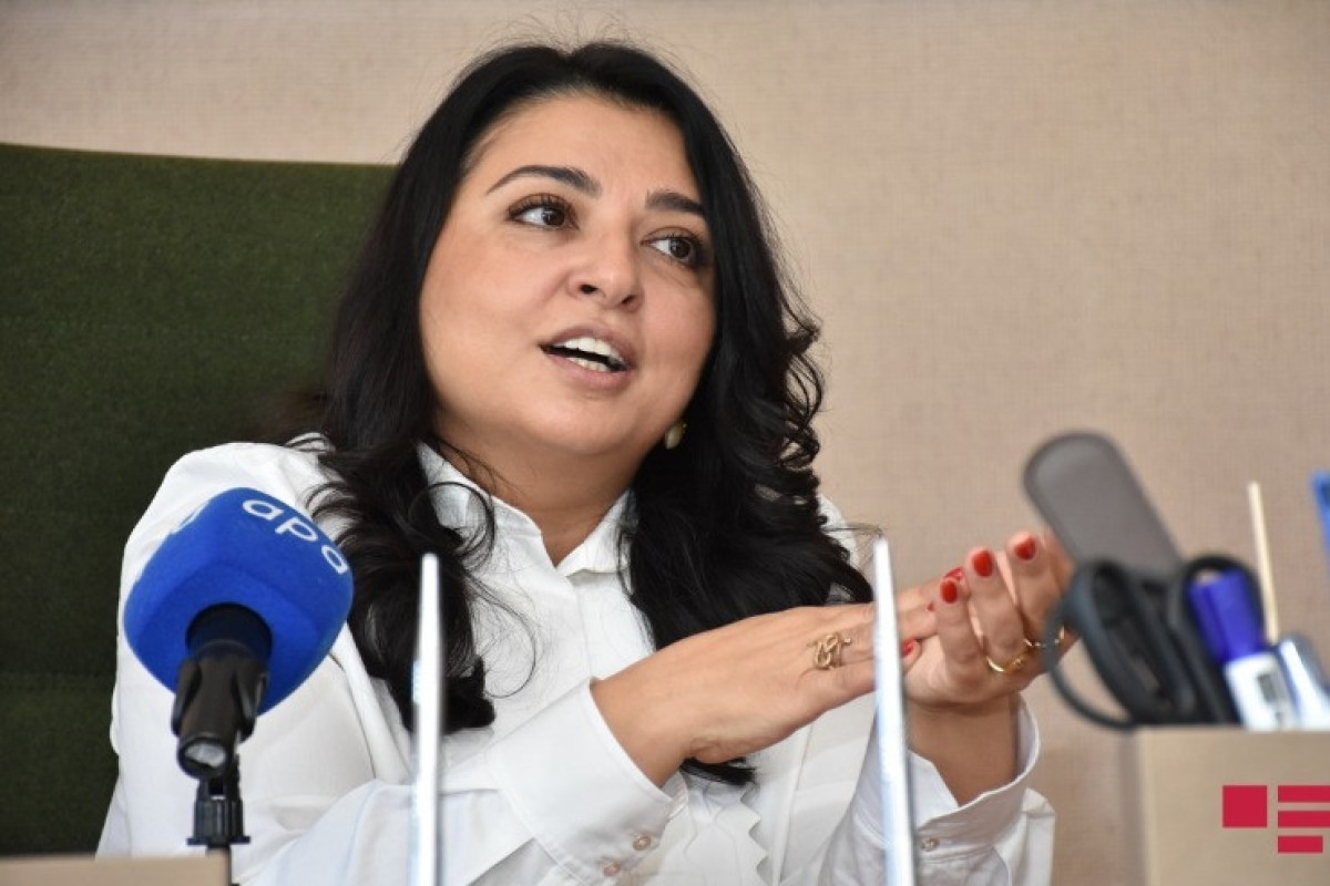 Leyla Güləliyeva: “Məbləğin böyüklüyünə aldanıb əsassız iddialar səsləndirmək düzgün deyil”