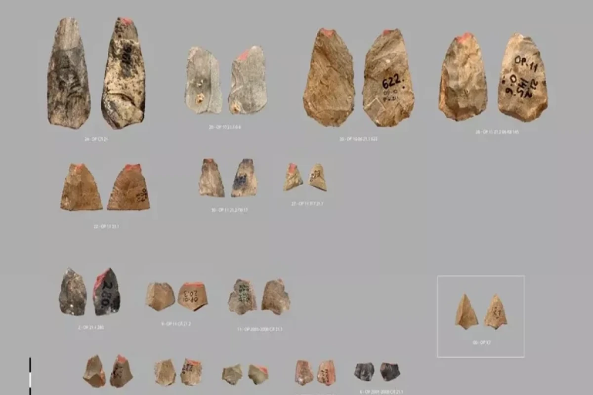 80 min illik sirr: Neandertallar ox işlətmiş ola bilər 