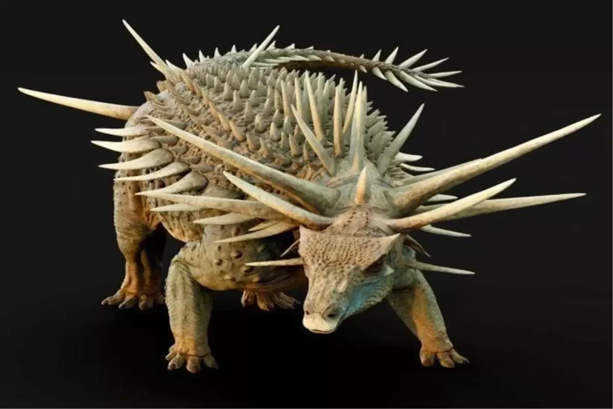 165 milyon illik zirehli dinozavr kəşf edildi 