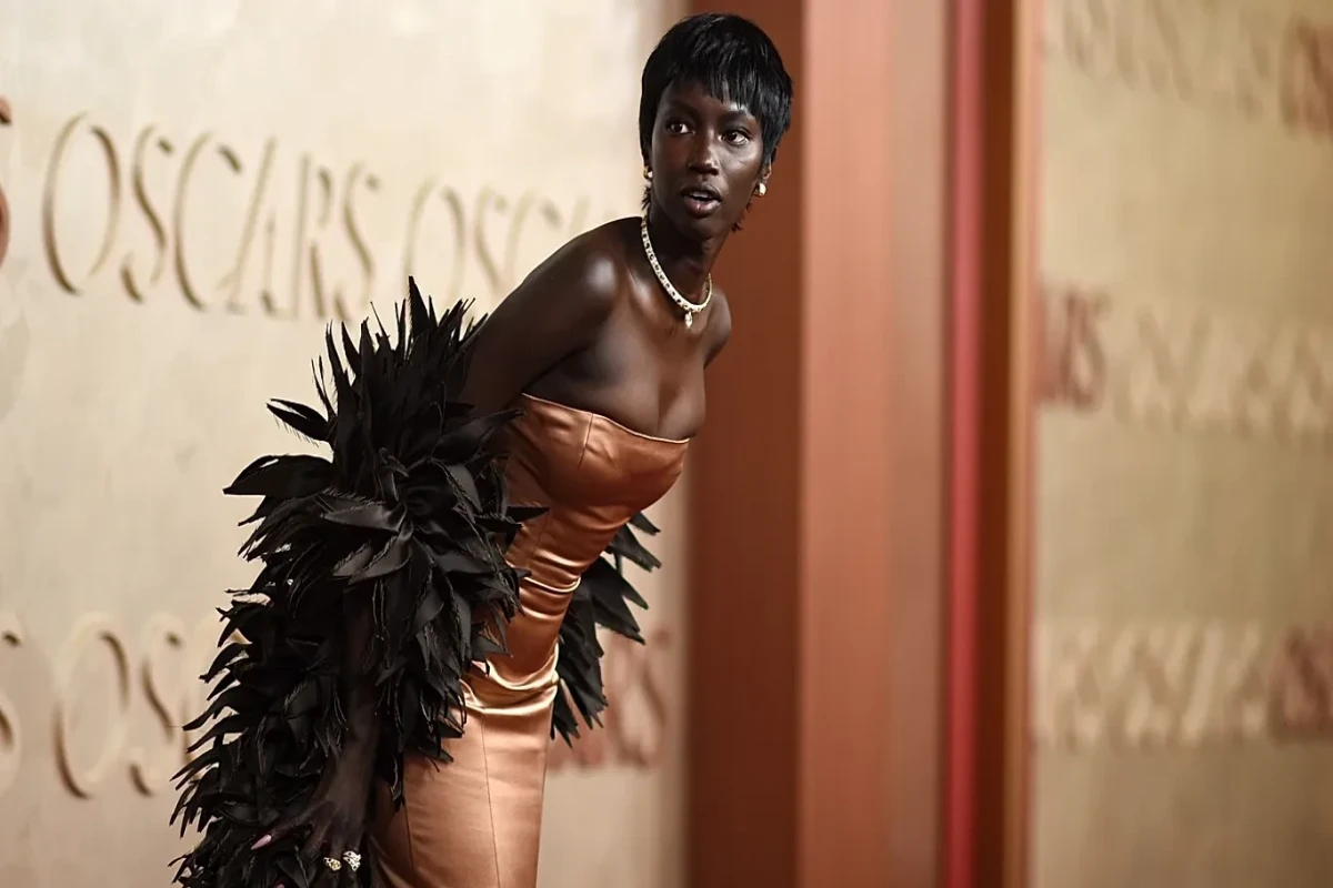 Mühacirlikdən qlobal moda ikonluğuna - İlk sudanlı model 