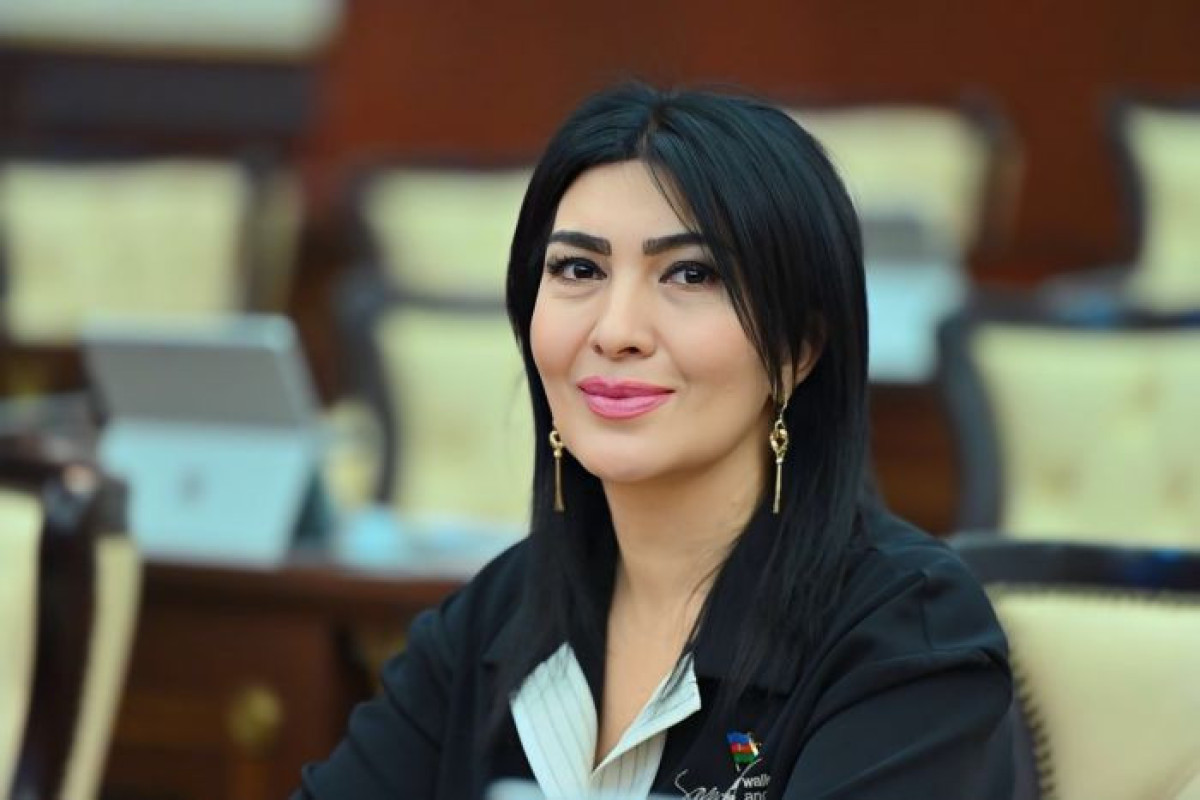 "Manipulyasiya halları özünü çox gözlətmədi..." - Elnarə Akimova