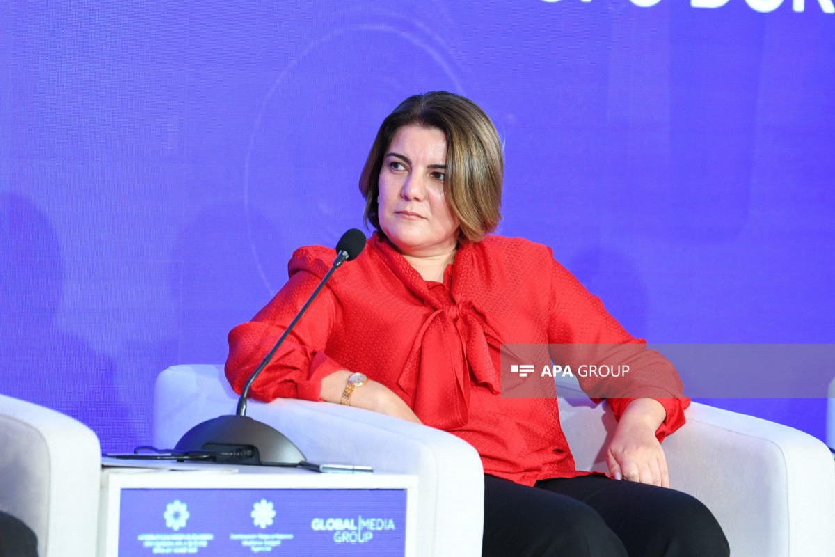Vüsalə Mahirqızı: "Xarici təsirlərin sosial mediada yaymaq istədiyi xurafata qarşı birgə mübarizə aparmalıyıq"