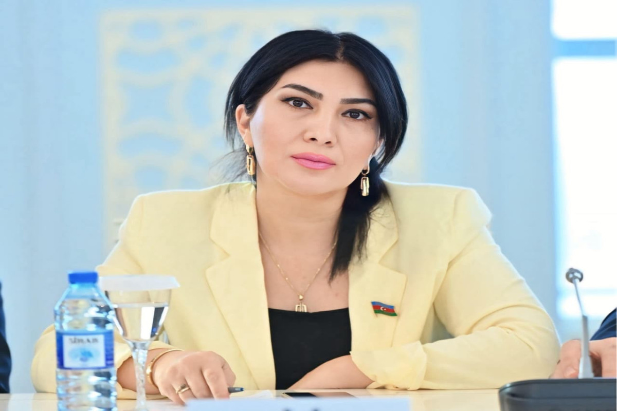 Elnarə Akimova:  “Milli Ədəbiyyat Mükafatı təsis olunmalıdır”