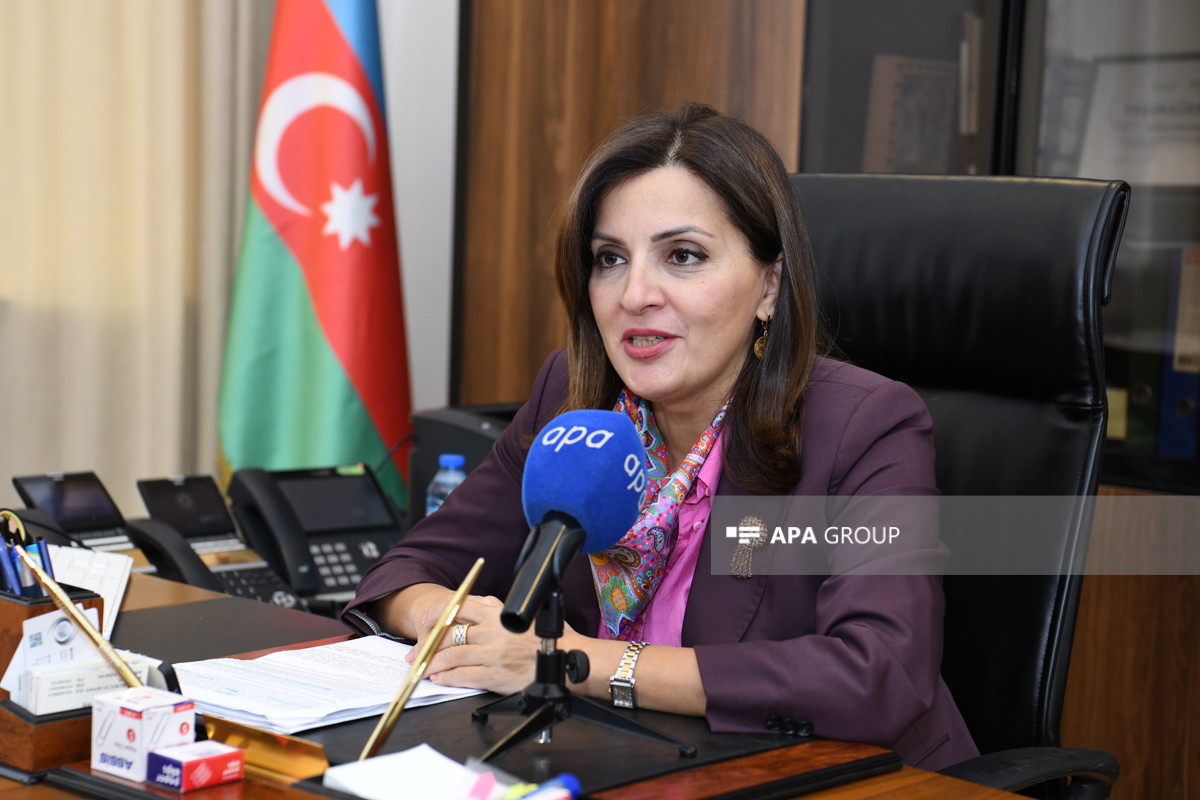 Dövlət Xidmətinin rəisi:  "Tarixi abidələr mərhələli şəkildə bərpa edilir" - Müsahibə  