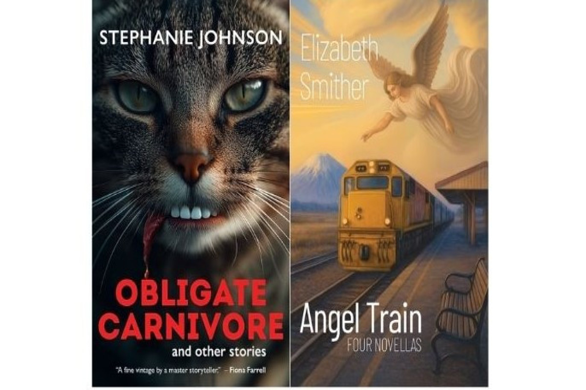 Tanınmış yazıçılar  süni intellektdən istifadəyə görə müsabiqədən kənarlaşdırıldı 