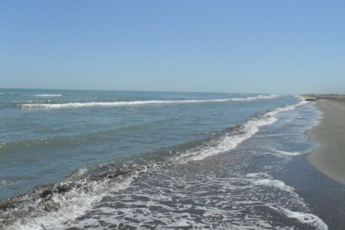 Ana niyə 3 günlük körpəsini dənizə ataraq öldürüb? 