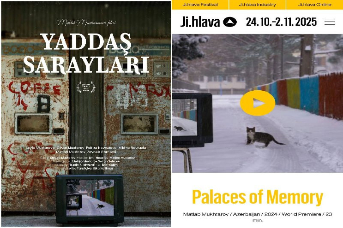 Azərbaycanlı rejissorun filmi beynəlxalq festivalda 