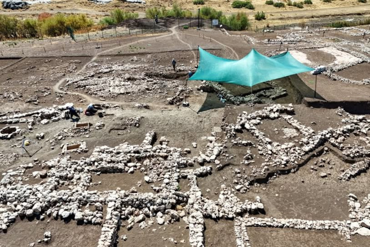 9500 illik tikili aşkar edildi 