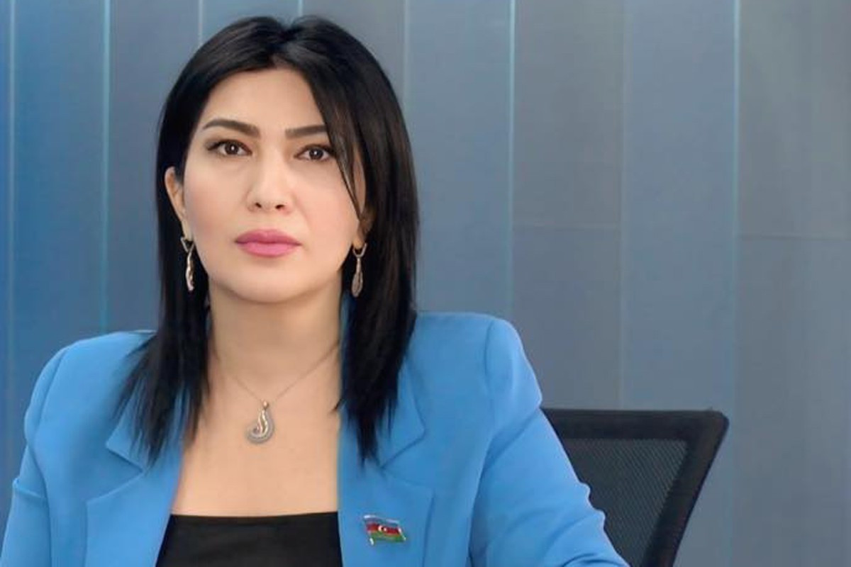Elnarə Akimova:  "Nizami Kino Mərkəzinin divarına qraffiti çəkilməsi vandalizmdir" 
