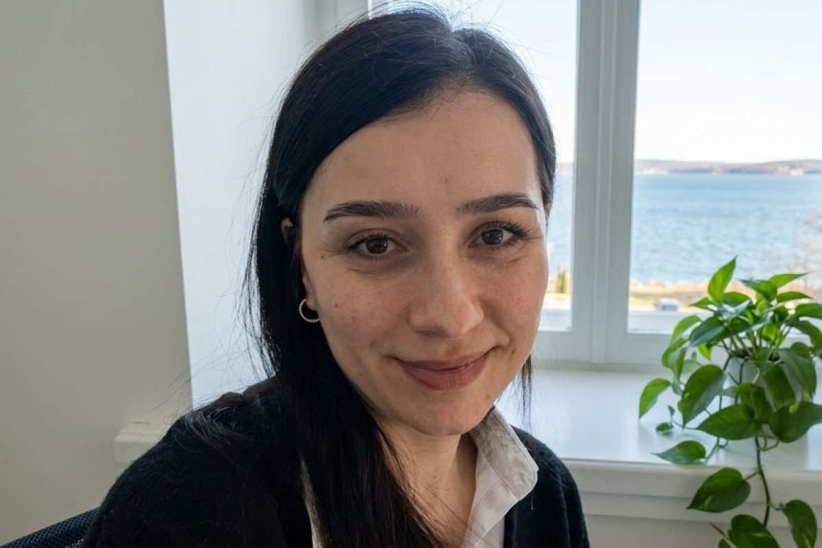 "Minalanmış tarlada gəzirəmmiş kimi keçir günlər..."  - Seçil Oğuzdan şeir 