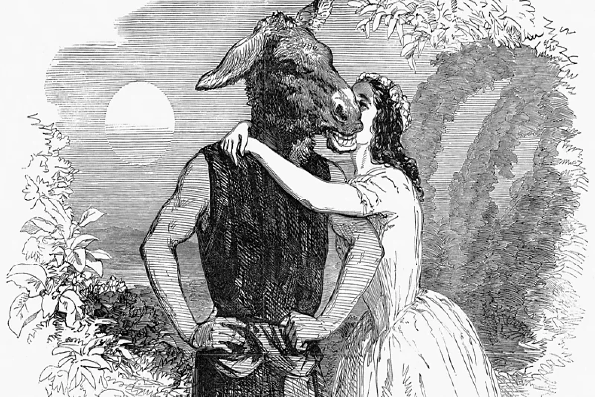 Uşaq nağıllarından "ehtiraslı pərilərə": Pəri romantikası nədir və niyə bu qədər populyardır? 