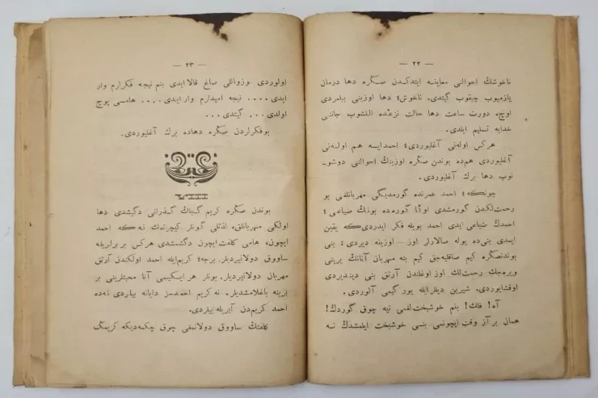 Azərbaycanın ilk xanım deputatının kitabı hərraca çıxarıldı 
