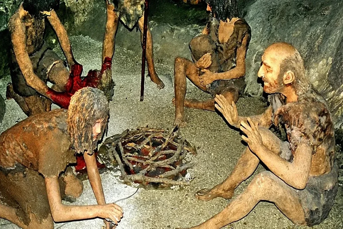 Alimlərdən yeni kəşf - Qədim insanlar bir-birilərini yeyirdilər? 