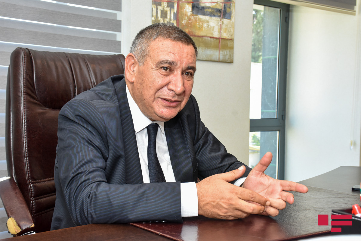 "Hər adamın sığınmağa bir qalası olsun gərək..." - Rəşad Məcidin şeirləri 