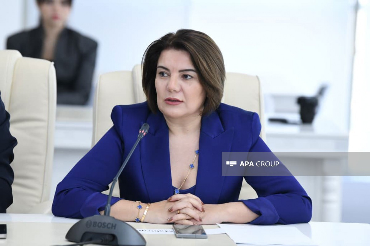 Vüsalə Mahirqızı: "Azərbaycan dili ilə bağlı lüğətlərin elektronlaşdırılmasına ehtiyac var" 