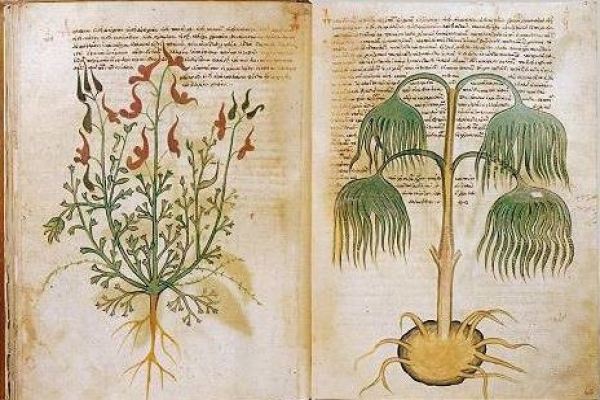 Heç kimin oxuya bilmədiyi əlyazmanın sirri açıldı 