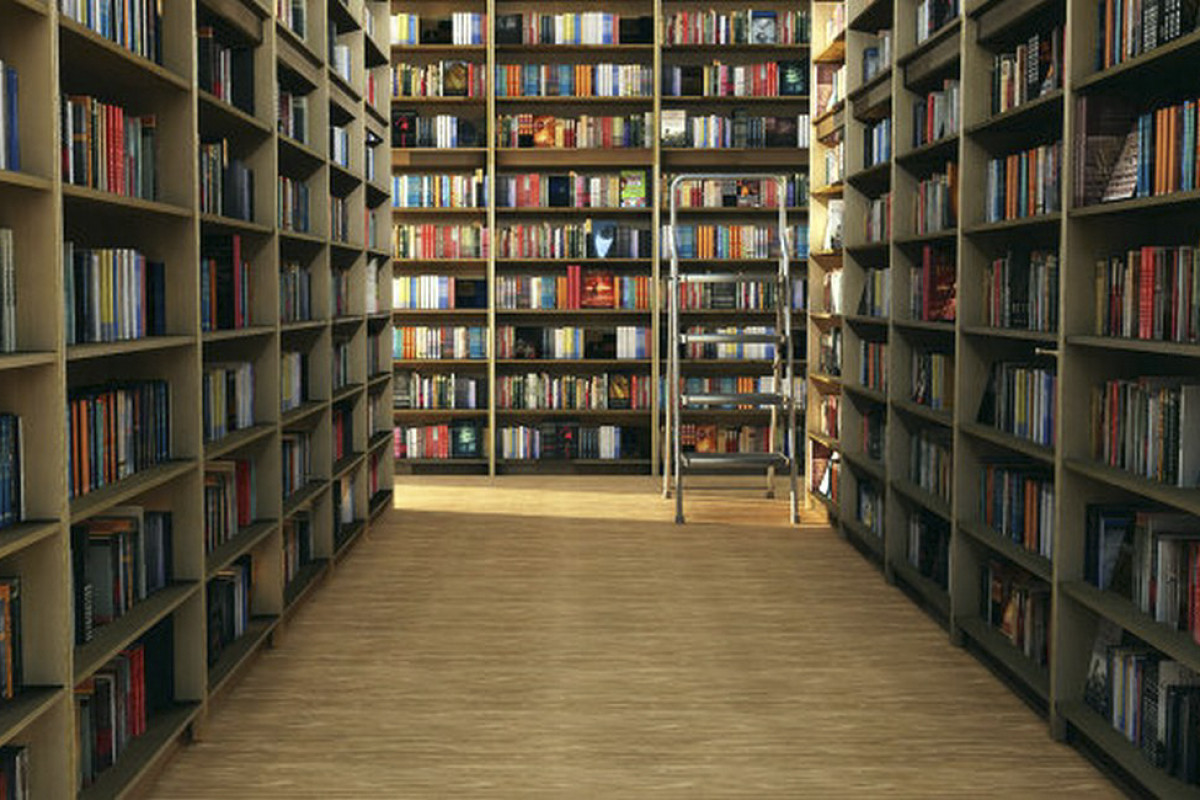 Azərbaycan ədəbiyyatının xarici dillərə tərcüməsi ilə bağlı layihə təsis ediləcək 