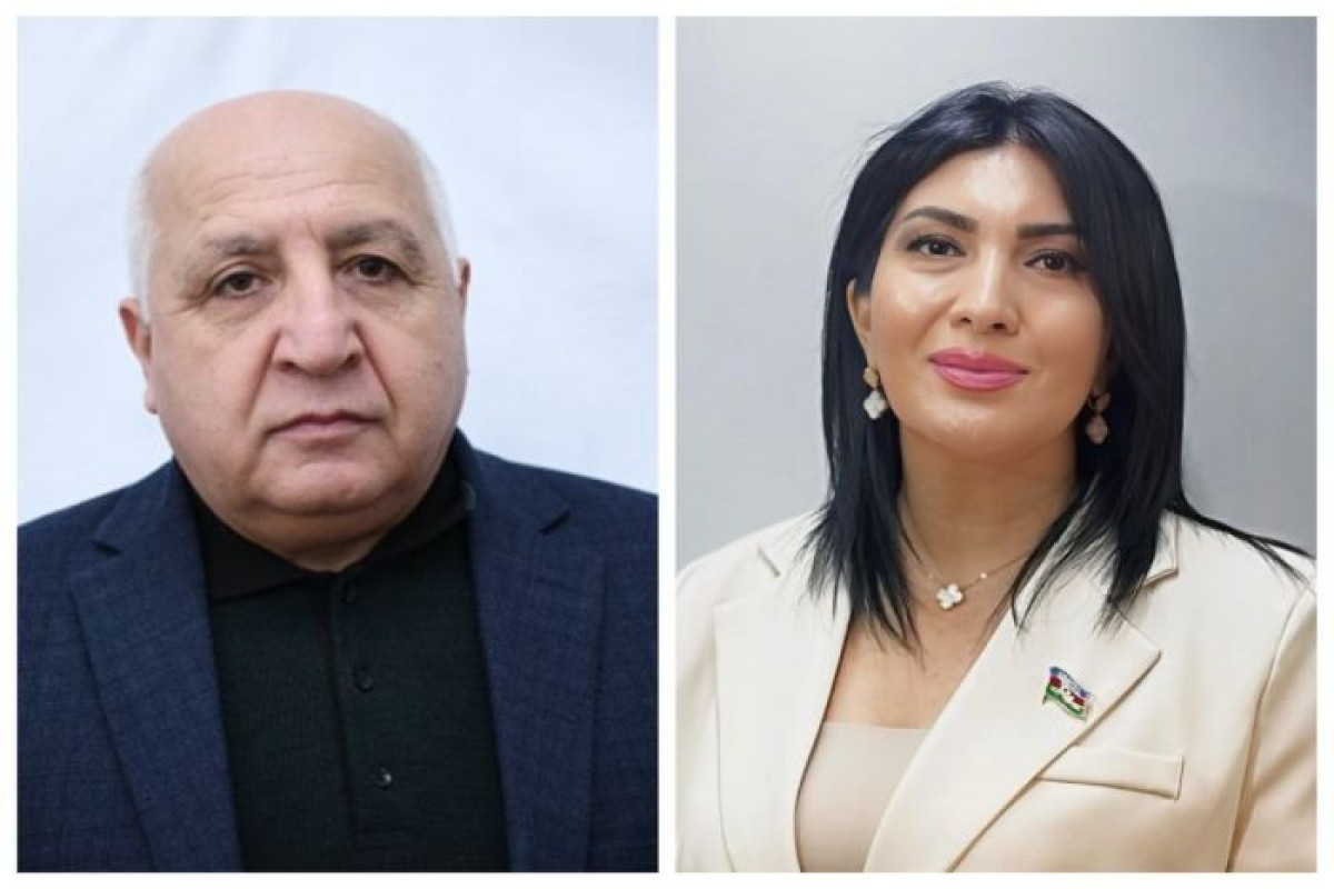 Rüstəm Kamalın ədəbiyyat dili - Elnarə Akimova 
