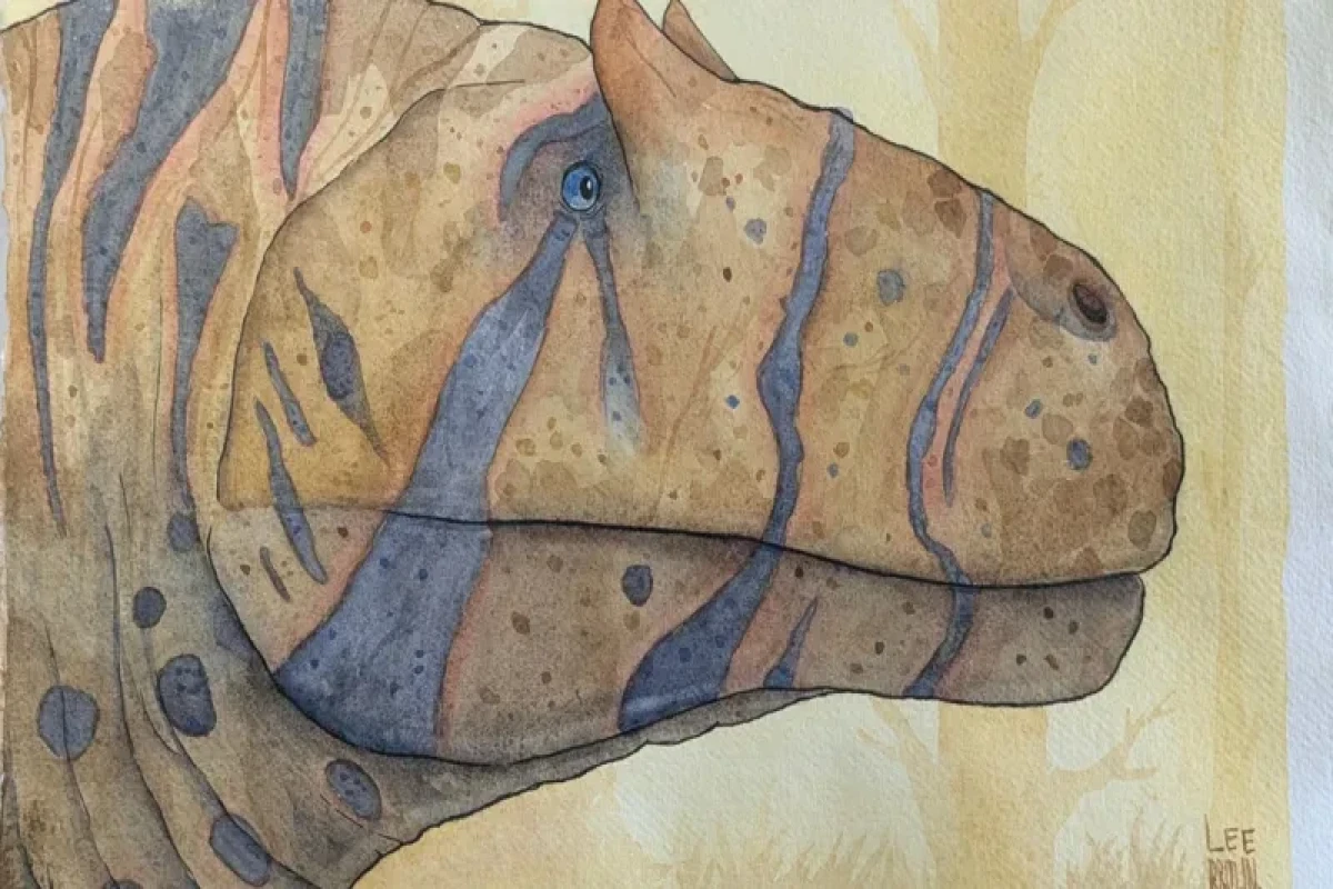 Dinozavrları "dirildənlər": Paleo-rəssamlıq nədir? 