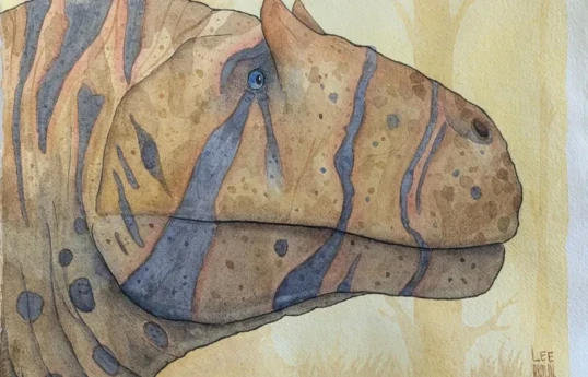Dinozavrları "dirildənlər": Paleo-rəssamlıq...