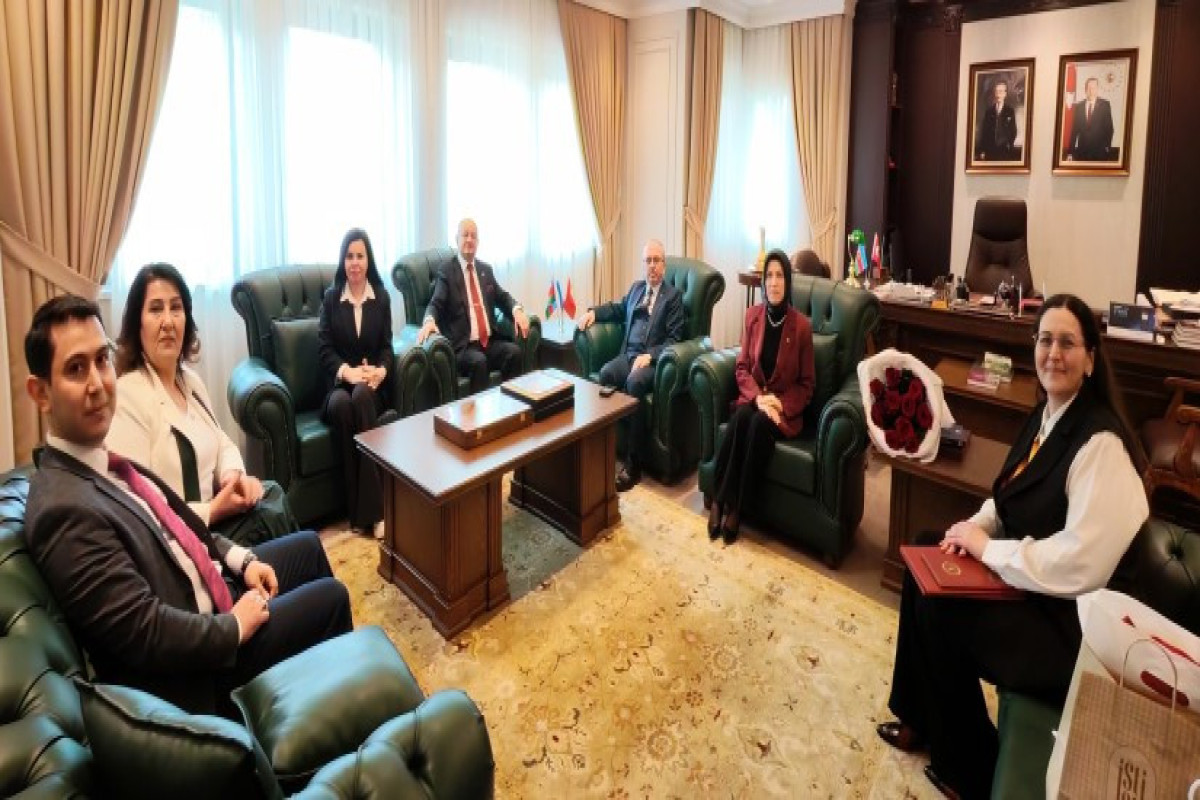 Natəvan Dəmirçioğlu Türk Dünyası Araşdırmaları Beynəlxalq Elmlər Akademiyasının  fəxri professoru seçildi 