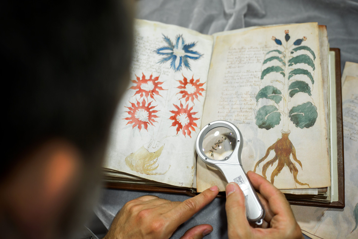 Bəşəriyyətin oxuya bilmədiyi yeganə kitab - Voyniç əlyazmasının sirri nədir?  