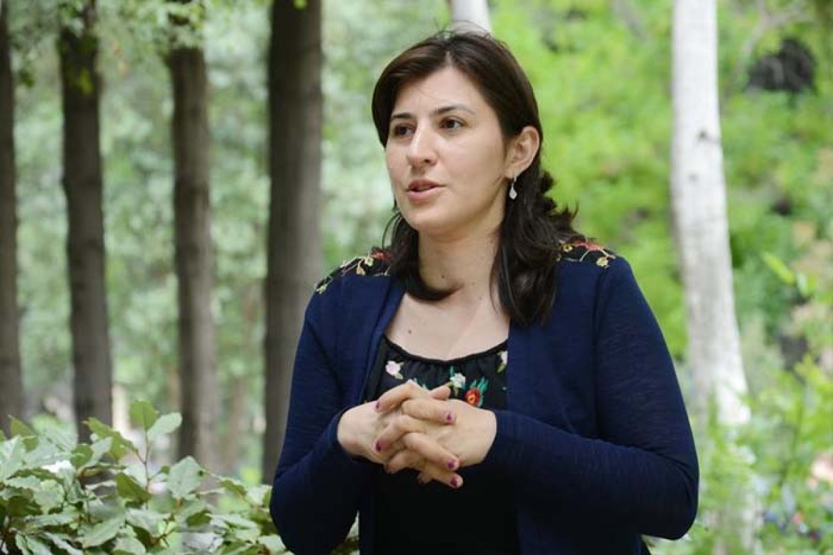 Tısbağa şorbası - Sevinc Elsevərin hekayəsi 