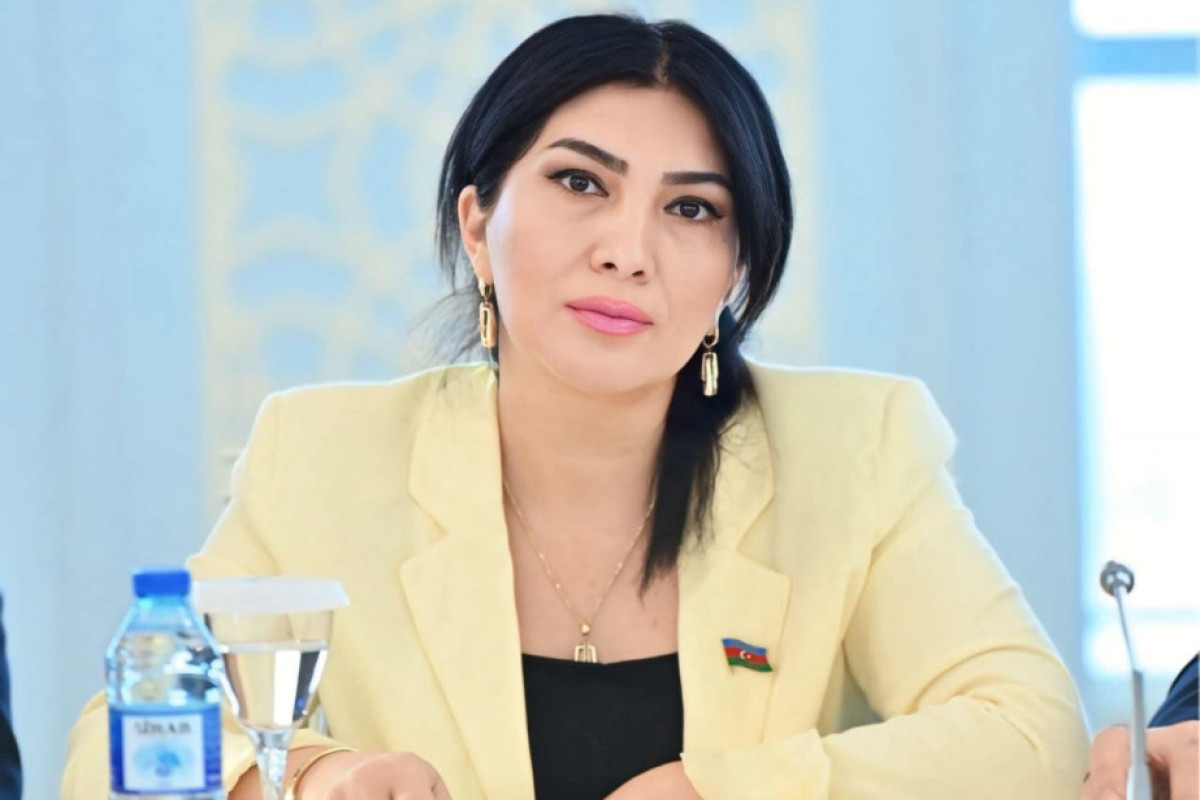 Elnarə Akimova: "Onun fikri ailə dəyərlərinə diqqət çəkmək məqsədi daşıyır" 