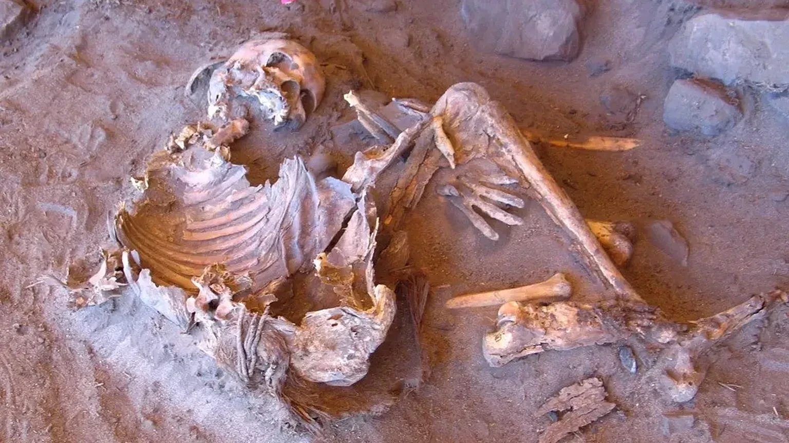 7 min illik insan skeleti tapıldı