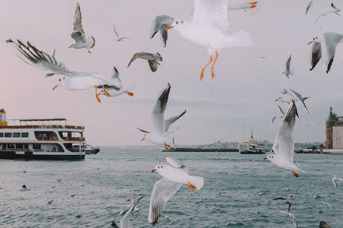 İstanbulun  emosional və sosial mənzərəsini araşdıran fotolar dərc olundu 