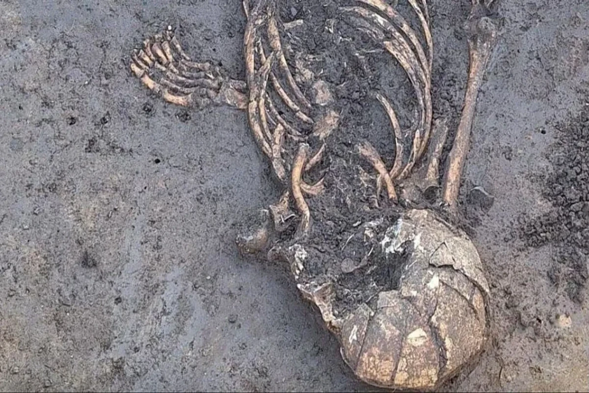 Almaniyada 7000 il əvvəl  dəfn edilmiş insanın qeyri-adi skeleti  tapıldı