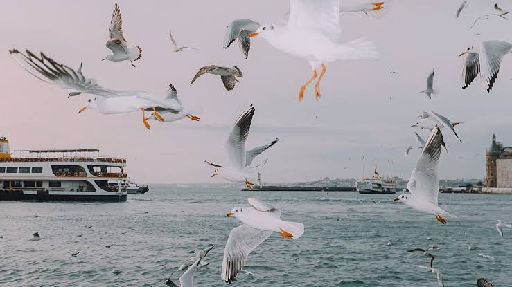 İstanbulun emosional və sosial mənzərəsini araşdıran fotolar dərc olundu