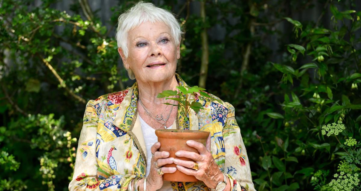 Cudi Dençdən etiraf: daha filmlərdə çəkilə bilməyəcək