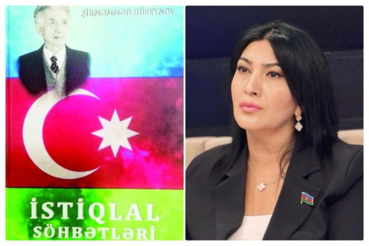 "İstiqlal söhbətləri" - düşüncə ehtirası və alim qüruru - Elnarə Akimova  