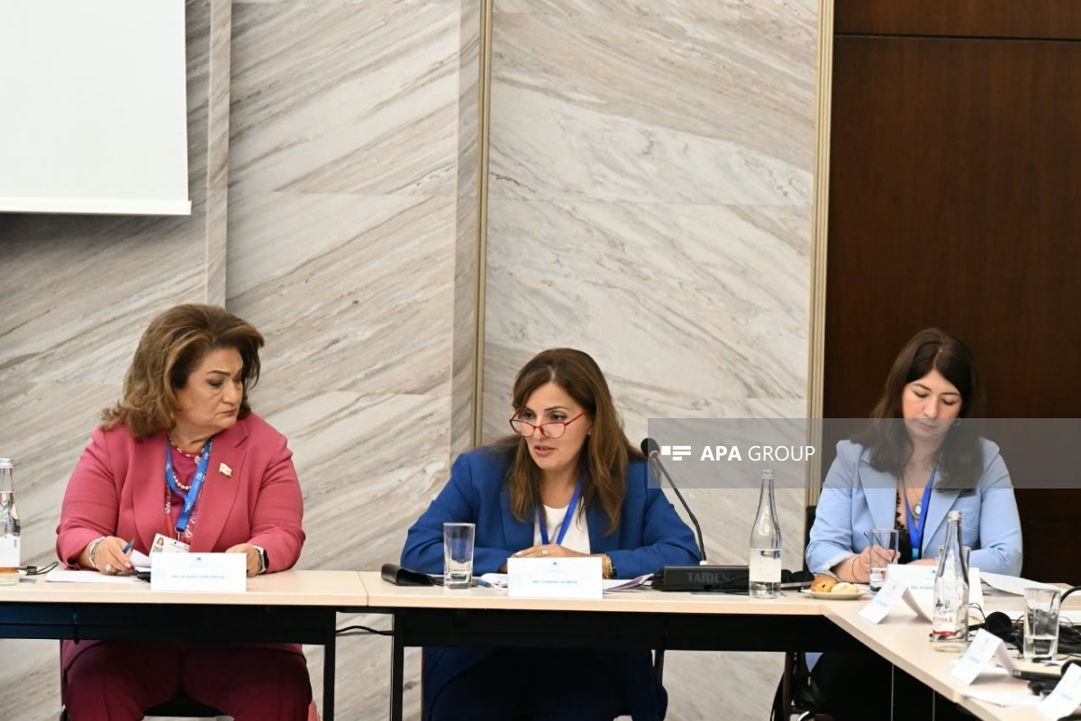 Qarabağ və Şərqi Zəngəzurda 130 abidənin inventarlaşdırılması başa çatmadı 